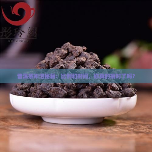 普洱茶的冲泡比例和时间