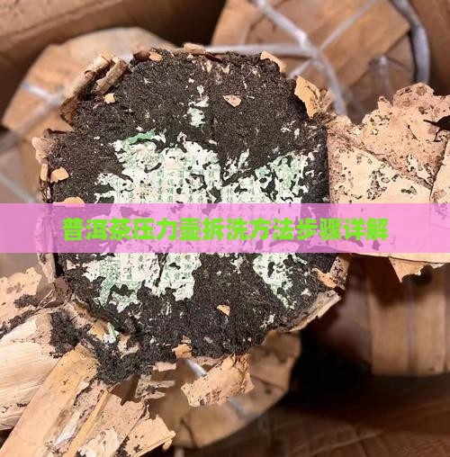 普洱茶压力壶拆洗