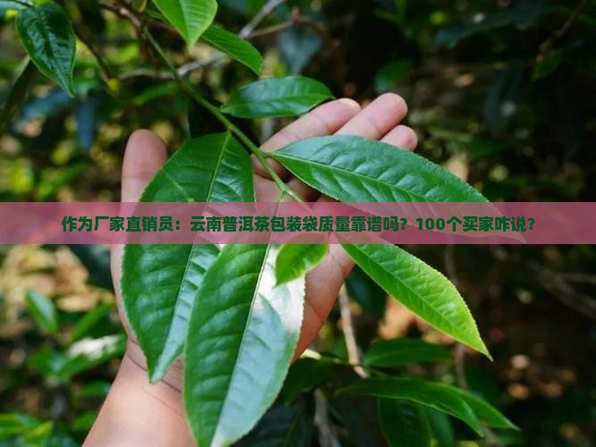 云南普洱茶包装袋厂家