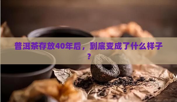 普洱茶40年怎样