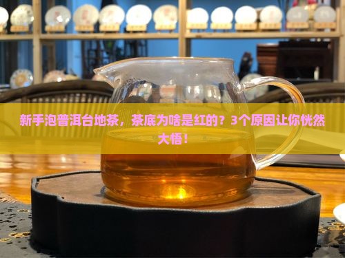 普洱茶台地茶叶底