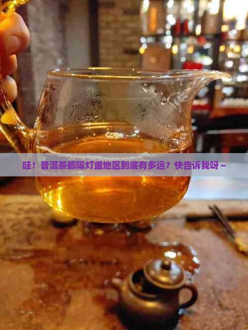 普洱茶都隔灯盏地区多远