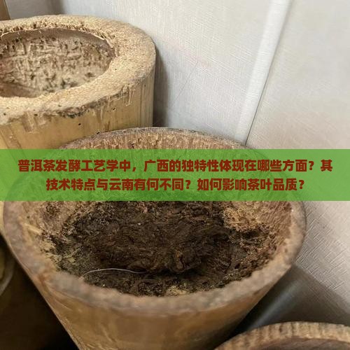 普洱茶发酵工艺学的广西