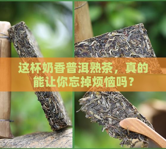 奶香普洱茶熟茶
