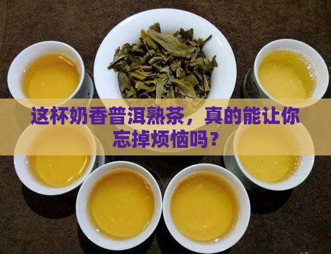 奶香普洱茶熟茶