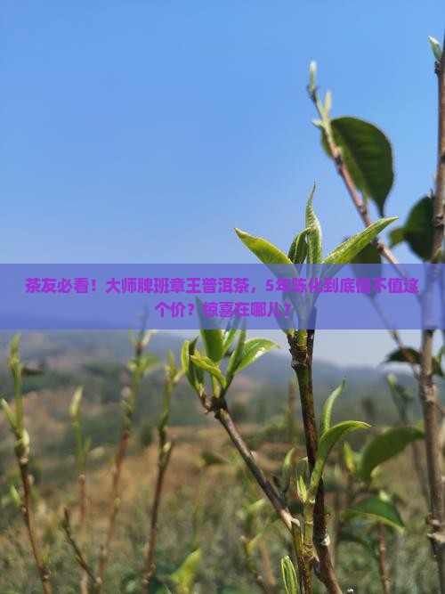 大师牌班章王普洱茶