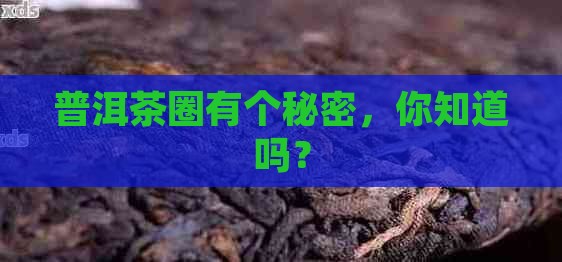 普洱茶界流传着这样一句话