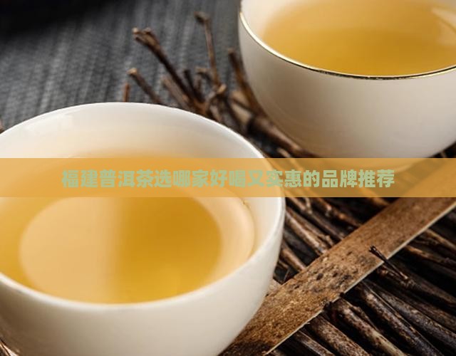 福建普洱茶选哪家好喝又实惠