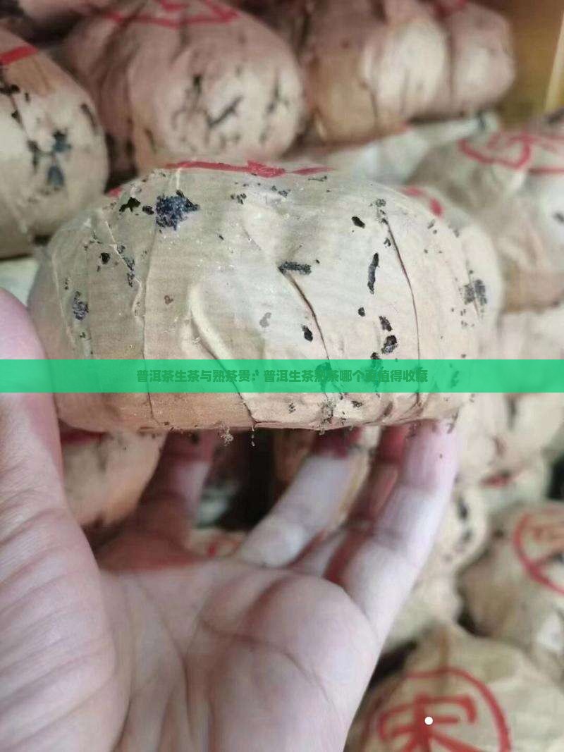 普洱茶生茶与熟茶贵