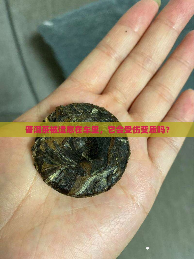 普洱茶放在车上会变质吗