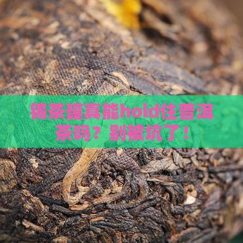 锡茶罐存普洱茶合适吗