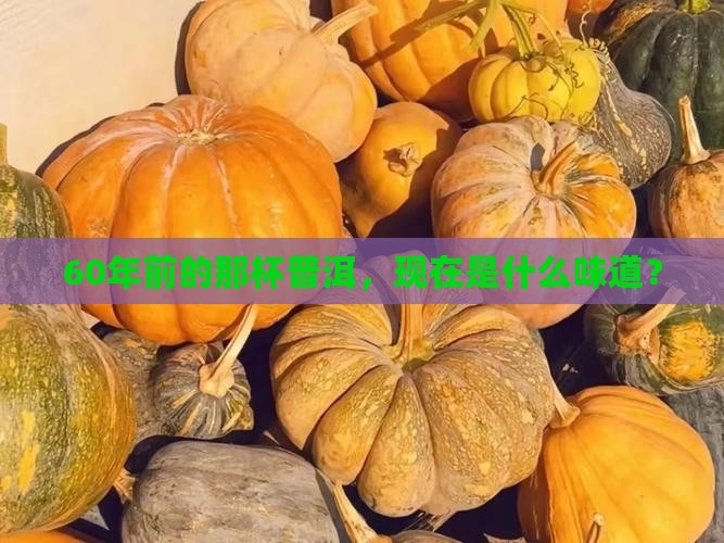 60年前的普洱茶怎么样