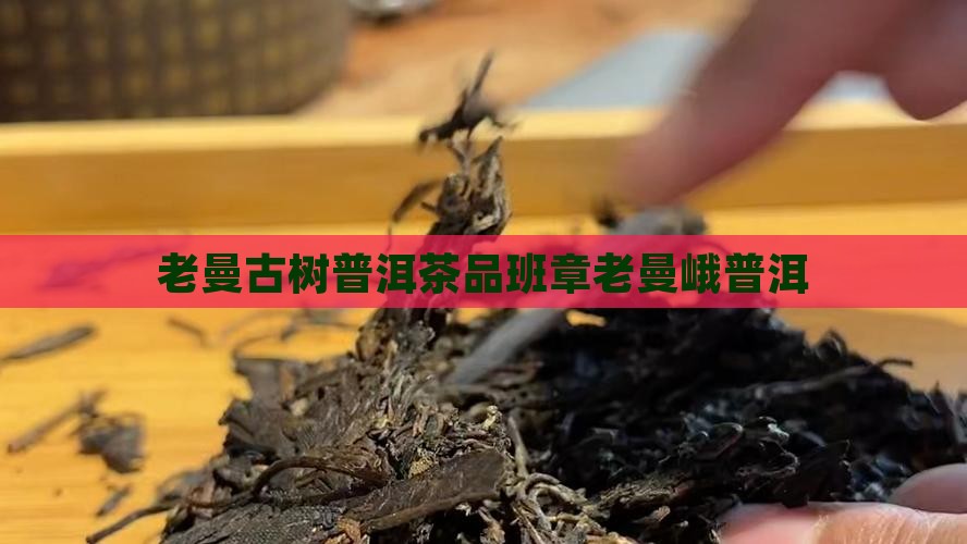 普洱班章老曼峨