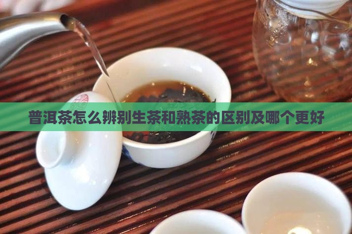 普洱茶怎么辨别生茶和熟茶