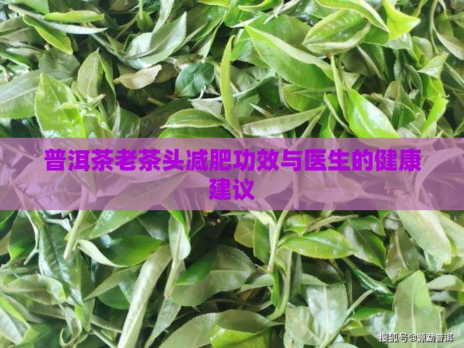 普洱茶老茶头减肥吗