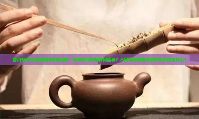 普洱茶陈化有什么区别呢