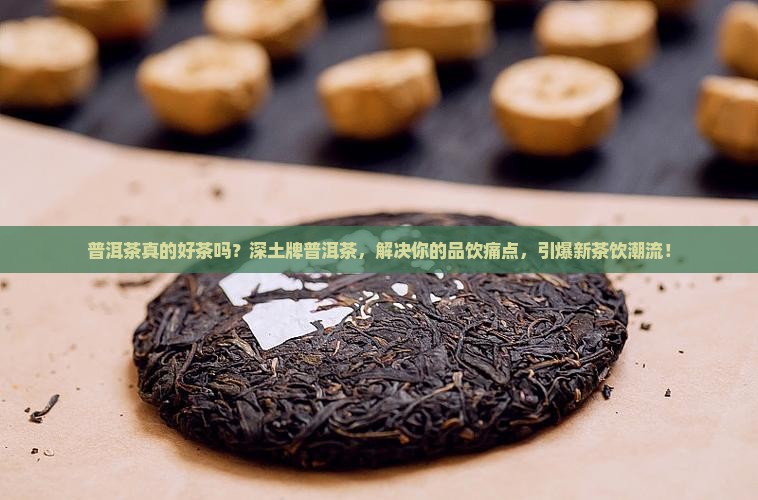 普洱茶是好茶吗深土牌普洱茶