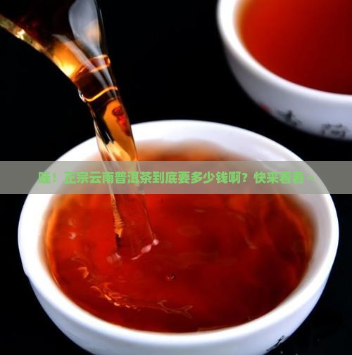 正品云南普洱茶多少钱