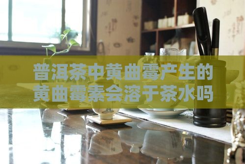普洱茶黄曲霉素溶于茶水吗