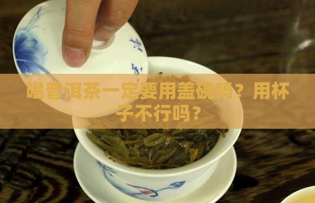喝普洱茶要用盖碗吗还是杯子