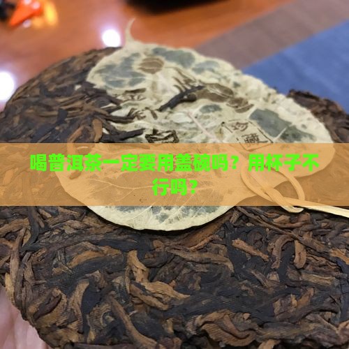 喝普洱茶要用盖碗吗还是杯子