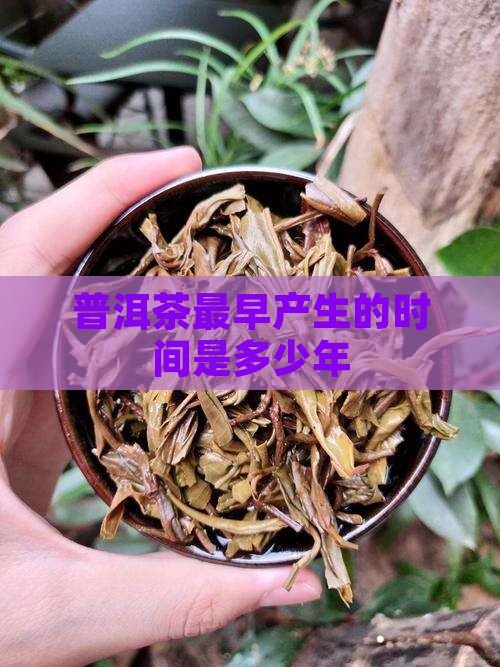 普洱茶最早产生的时间是多少