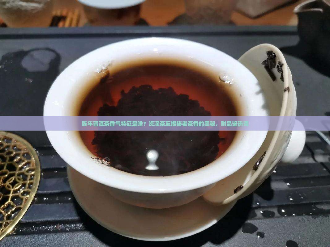 陈年普洱茶香气特征是啥