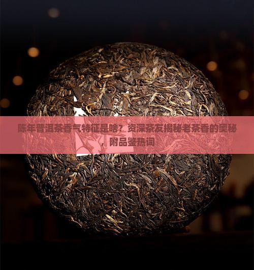 陈年普洱茶香气特征是啥