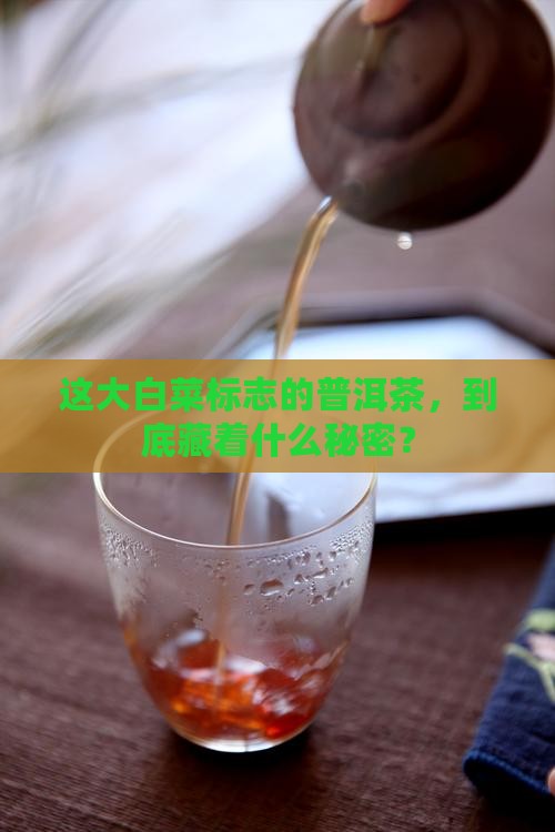 市面上大白菜标志的普洱茶