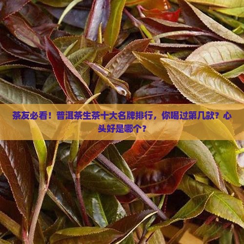 普洱茶生茶十大名牌排行
