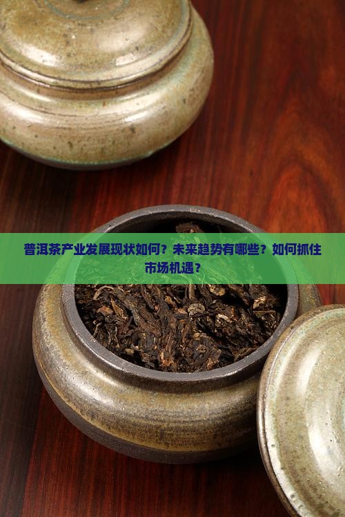 社会调查普洱茶产业发展