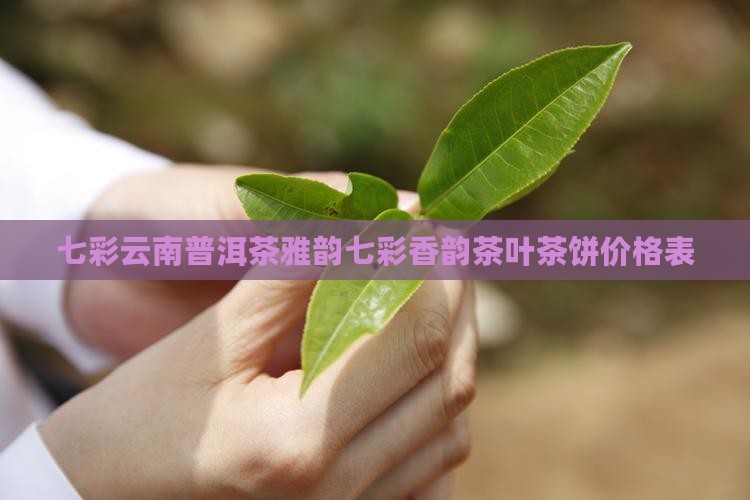 七彩云南普洱茶雅韵