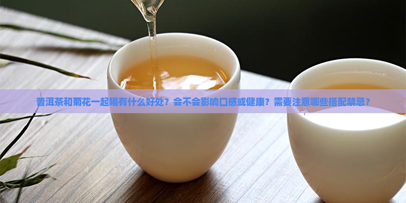 普洱茶和菊花一起喝可以吗