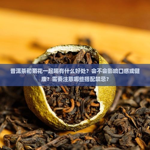 普洱茶和菊花一起喝可以吗