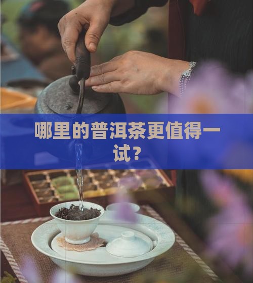 普洱茶那里比较好