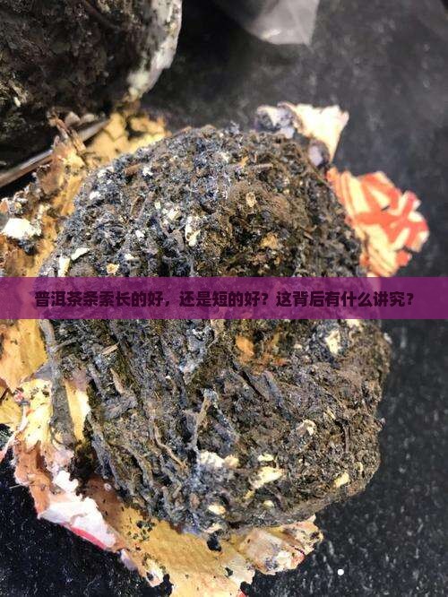 普洱茶条索长好还是短好