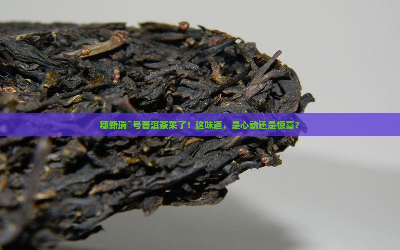 穗新瑞峯号普洱茶