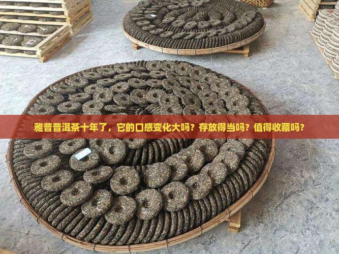 雅普普洱茶十年