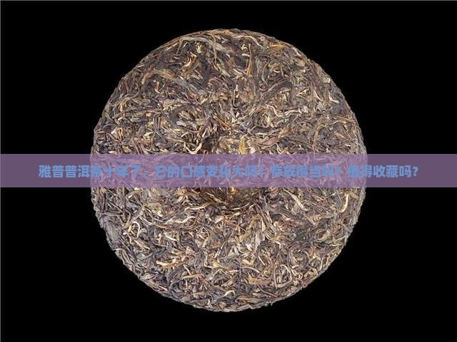 雅普普洱茶十年
