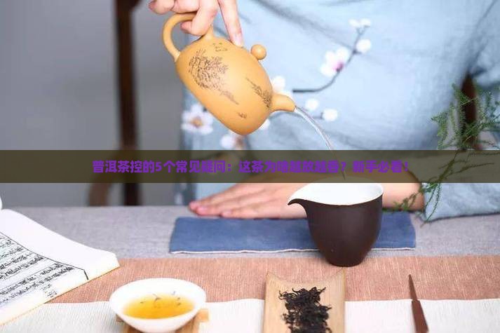 普洱茶的每种茶的形容