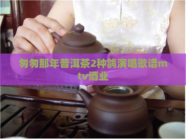 匆匆那年普洱茶