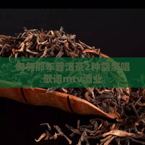 匆匆那年普洱茶