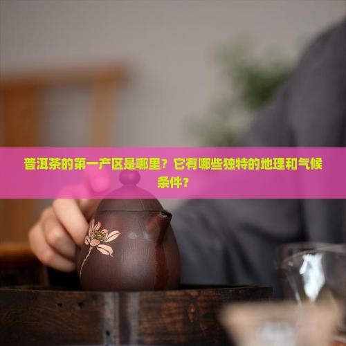 普洱茶第一产区