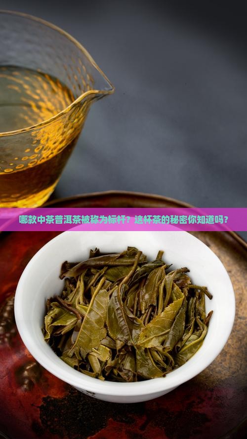 中茶普洱茶标杆茶是哪款