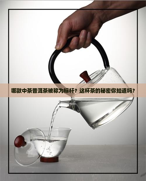 中茶普洱茶标杆茶是哪款