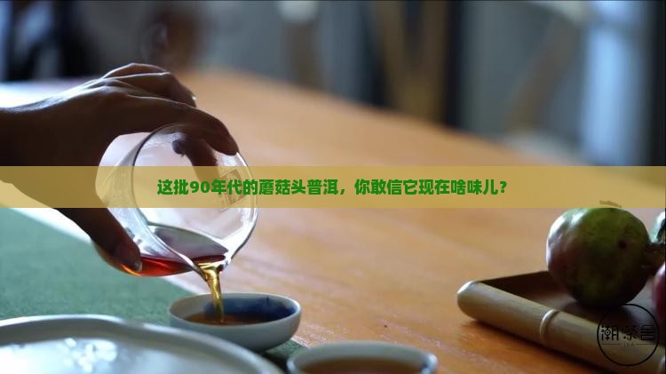 90年代蘑菇头普洱茶