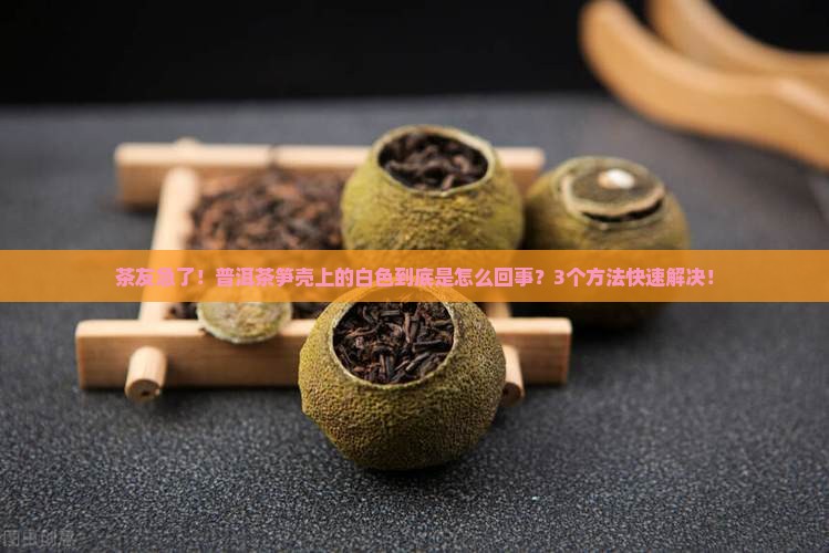 普洱茶的笋壳长白色