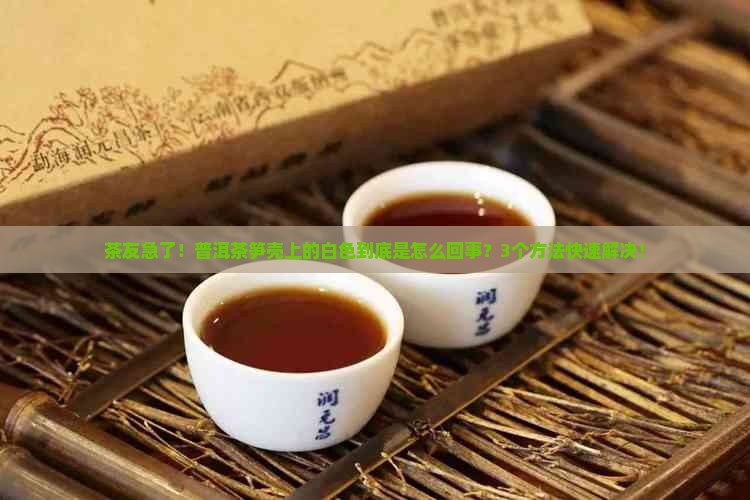 普洱茶的笋壳长白色
