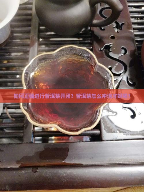 普洱茶开汤教学