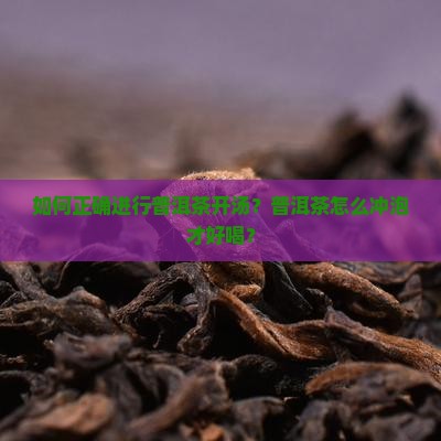 普洱茶开汤教学